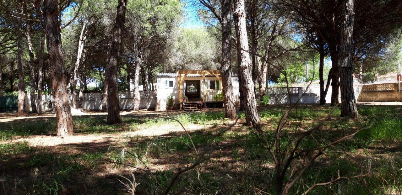The Pineforest Cabin Чиклана де ла Фронтера Екстериор снимка